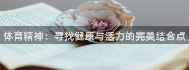 风速体育直播