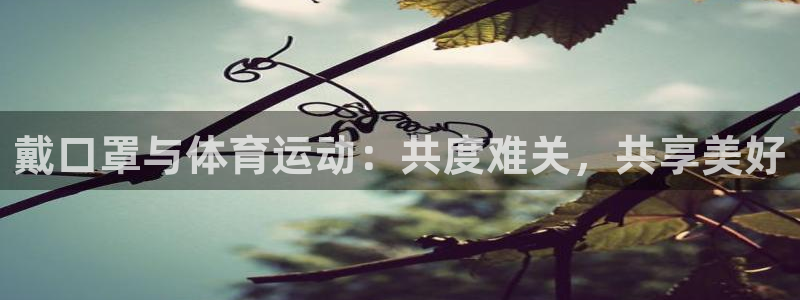风速体育