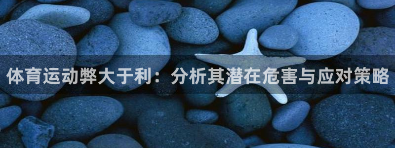 风速体育直播app