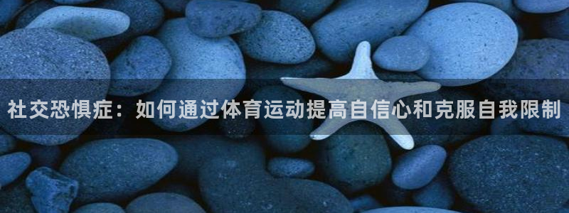 风速体育