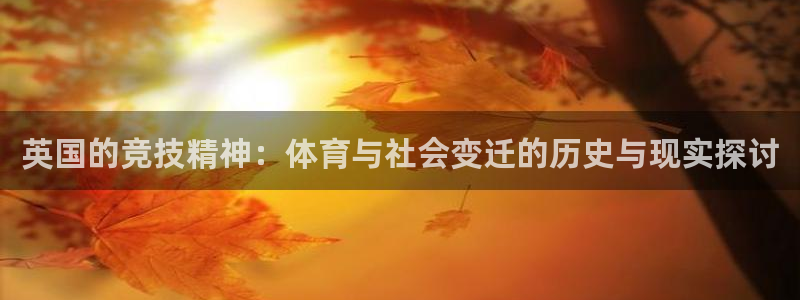 风速体育