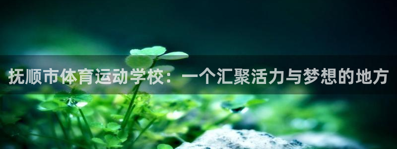 风速体育nba直播