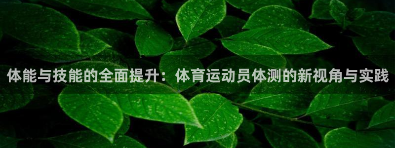 风速体育nba免费直播