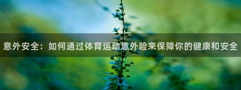风速体育
