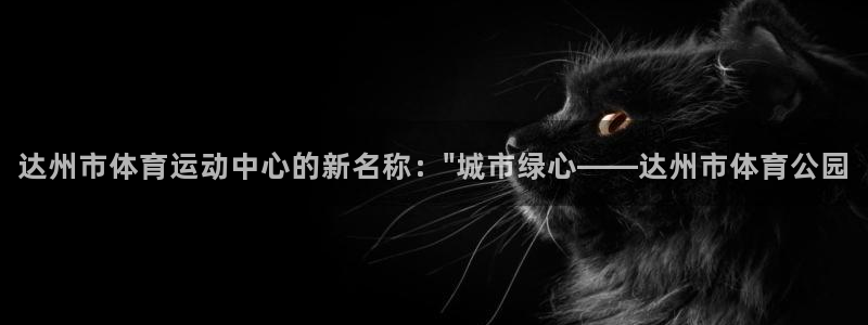 风速体育