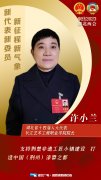 我是代表委員 | 許小蘭：將荊州打造成為荊楚文化高地
