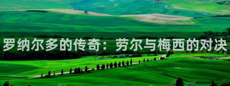 风速体育app下载官网最新版